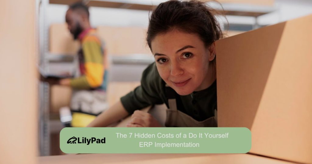 ERP Implementation