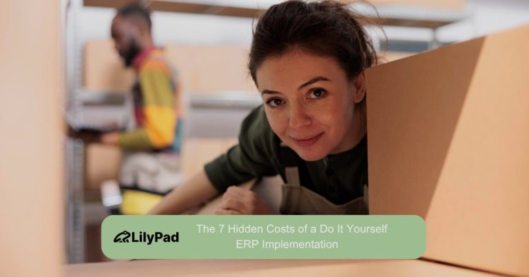 ERP Implementation